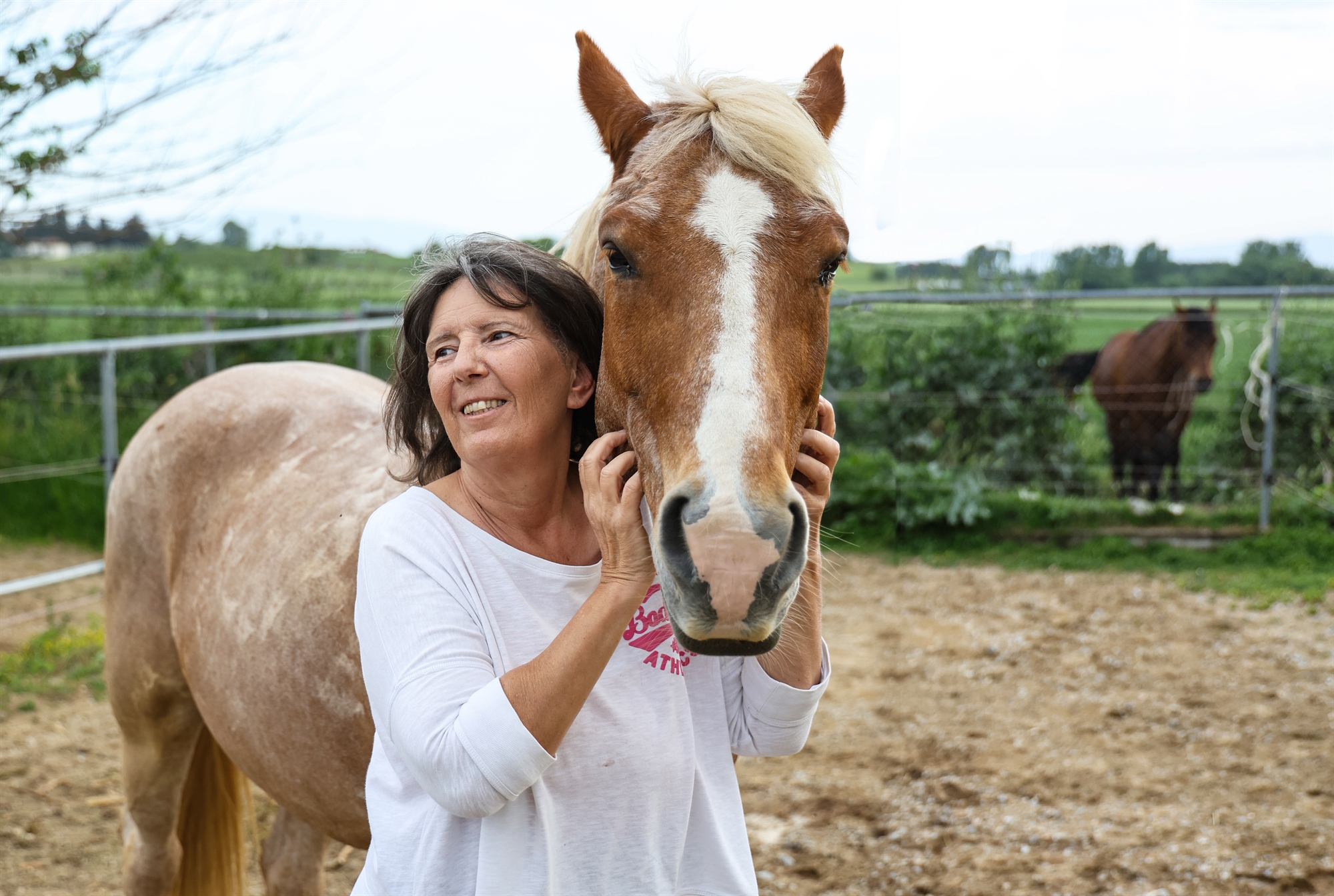 οι-σέρρες-το-τραύμα-και-οι-γείτονες-563662492