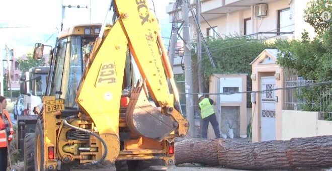 πτώση-δέντρου-σε-αυτοκίνητο-στην-κηφι-563689360