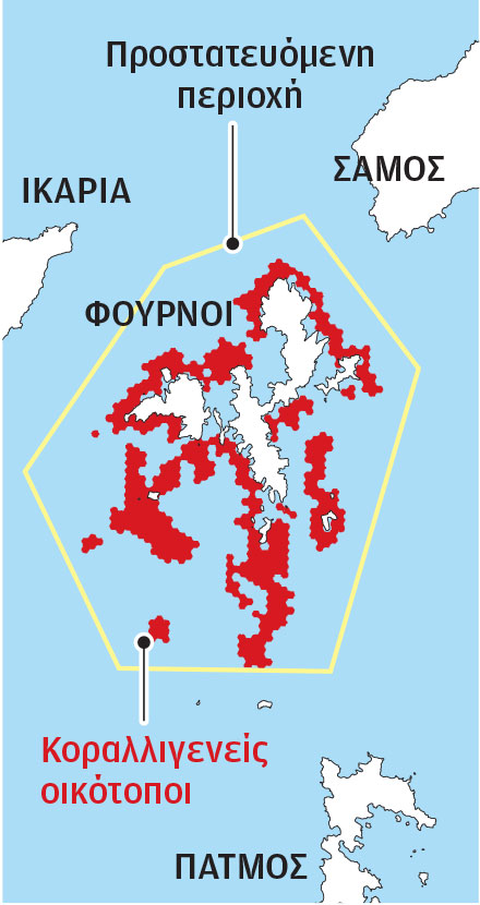 Προστασία των υποθαλάσσιων δασών-1