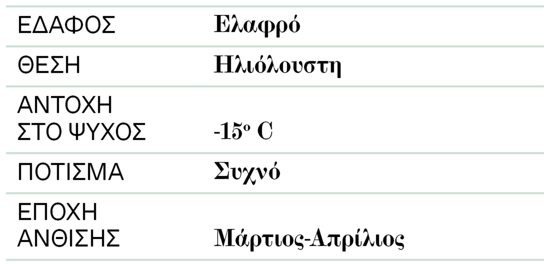 Ζουμπούλι: Μεθυστικό με καταγωγή από το Ιράν-2