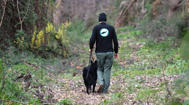 κρήτη-νεκρή-η-66χρονη-ισραηλινή-που-είχ-563654620