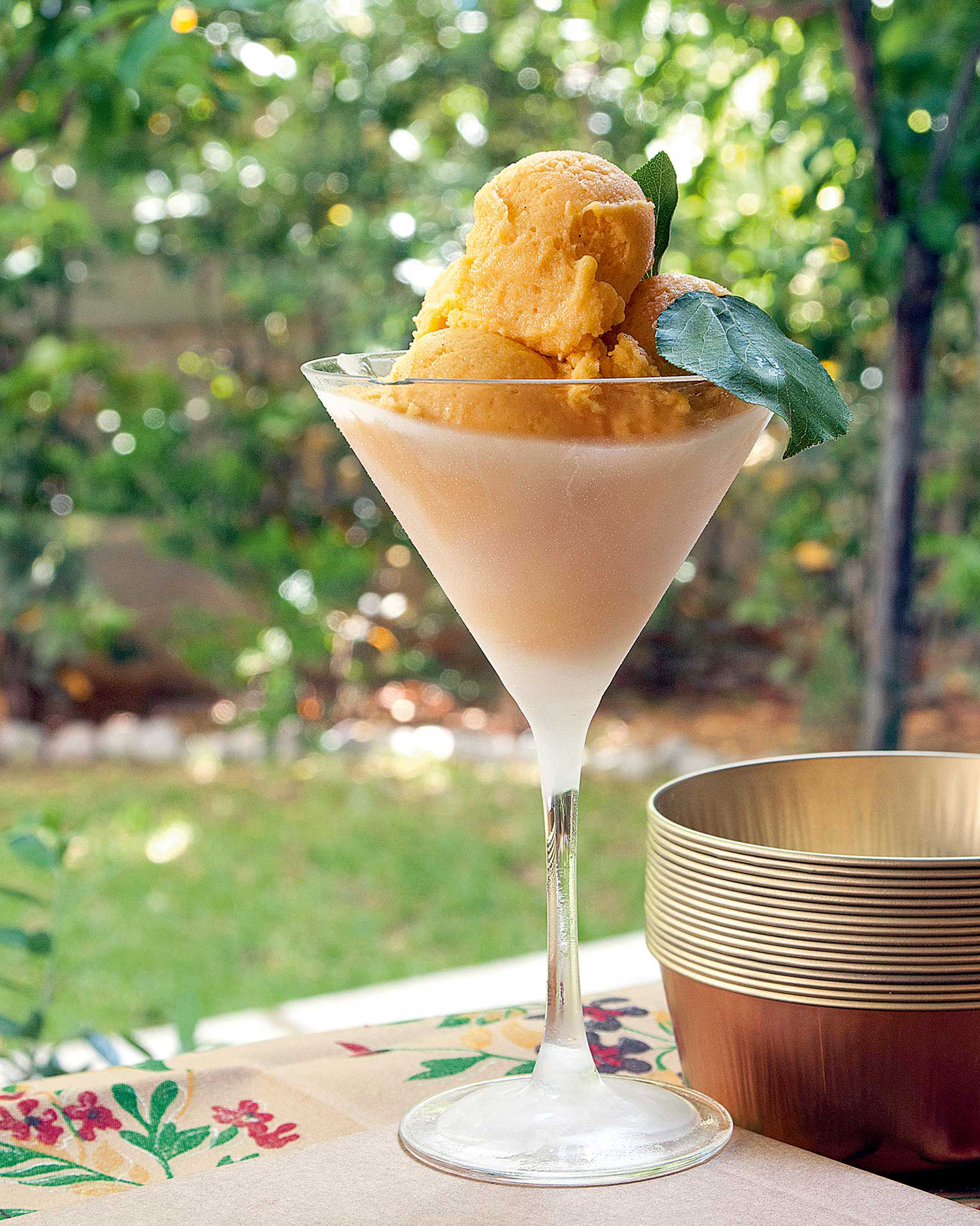 Ενα σορμπέ θα μας σώσει: 10 συνταγές για τον καύσωνα-6