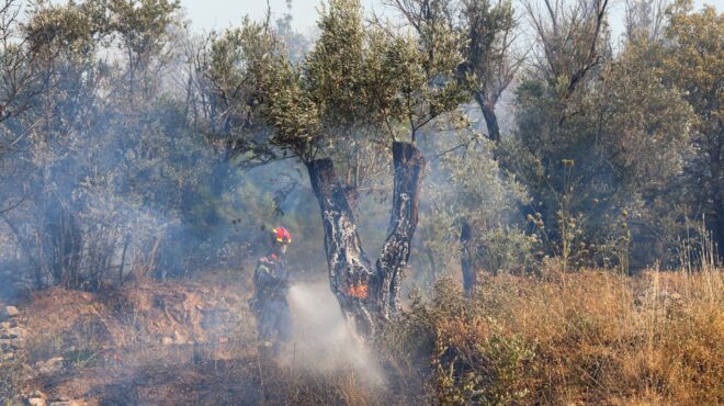 χίος-πυρκαγιά-κρίσιμο-το-οροπέδιο-αν-563679925