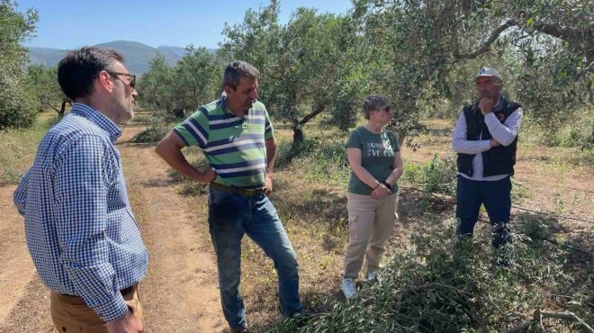 προηγμένος-ηλεκτρονικός-βοηθός-στο-κ-563667646