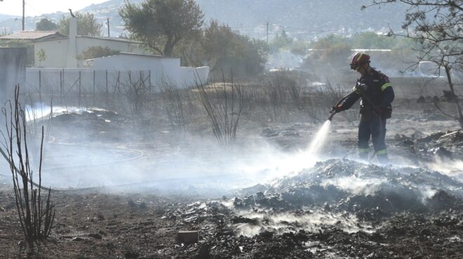 φωτιά-στην-παλλήνη-κοντά-στην-αττική-563667142