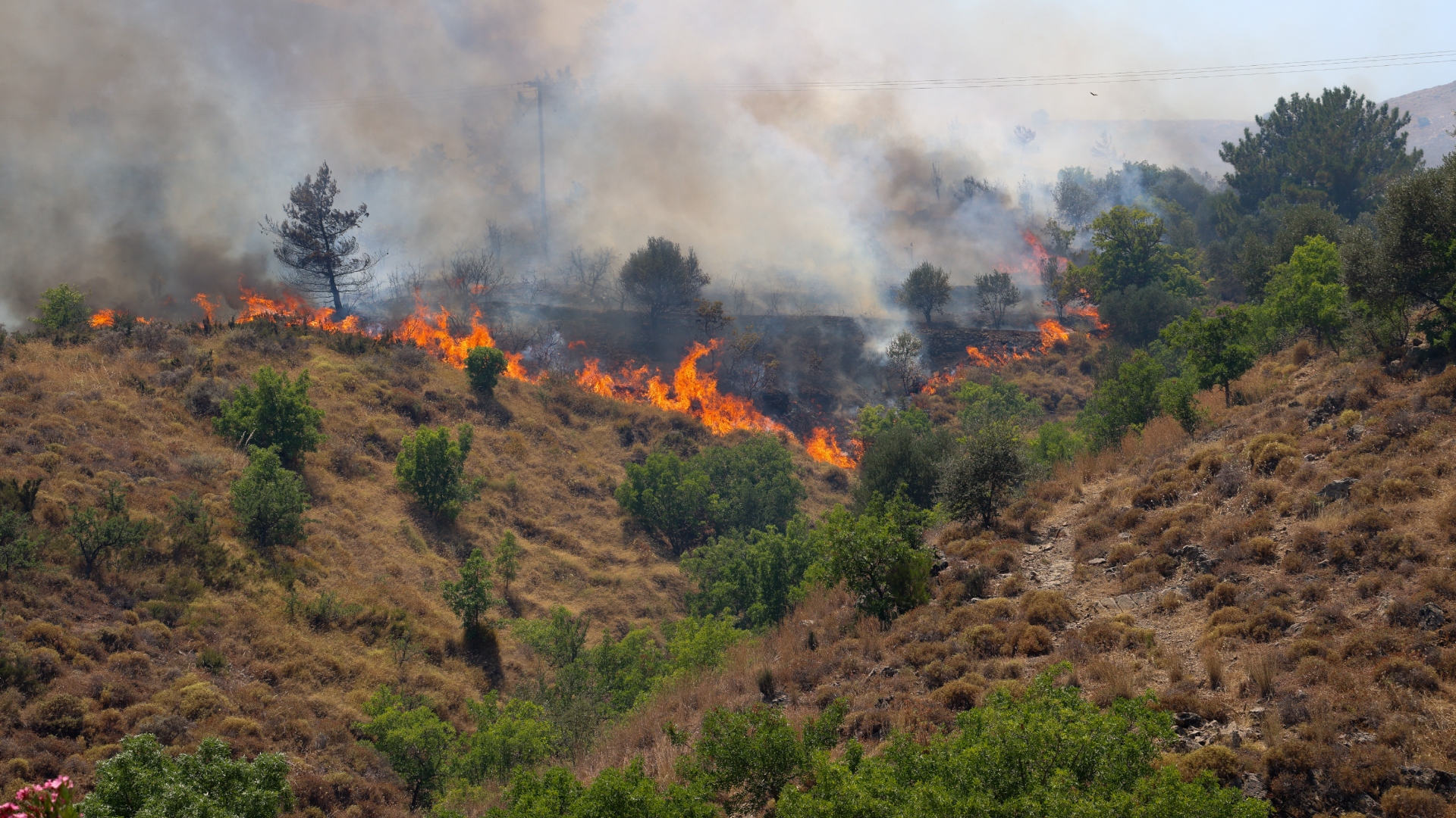 Φωτιά στη Χίο – Αλλεπάλληλα μηνύματα 112 για εκκενώσεις-3