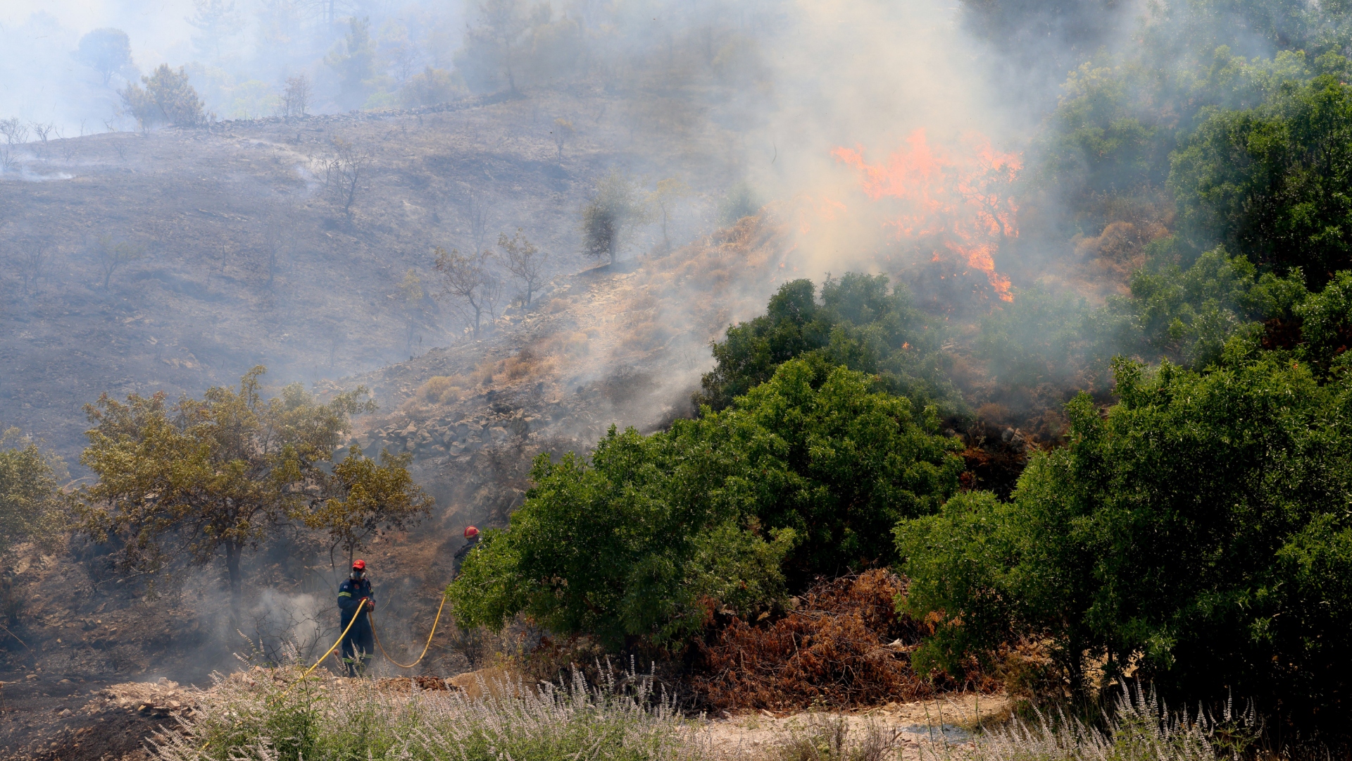 Φωτιά στη Χίο – Αλλεπάλληλα μηνύματα 112 για εκκενώσεις-4