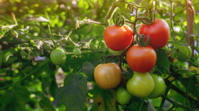 αρθρο-του-νίκου-φιλιππίδη-στην-κ-τι-ν-563676088