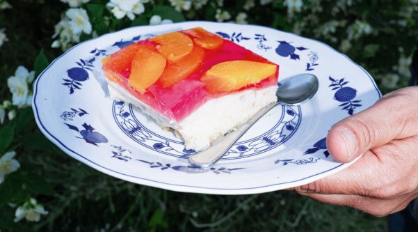 γλυκό-ψυγείου-με-κρέμα-βανίλια-ζελέ-φρ-563675716