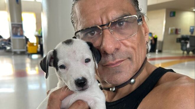 τζόναθαν-τζος-σίγησε-η-φωνή-του-king-of-the-hill-563646685