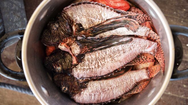 κακαβιά-αμοργιανή-στο-καΐκι-563658121