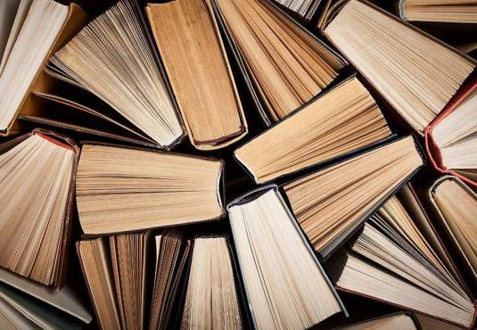 βραβείο-ράνσιμαν-στην-ποιητική-της-μυ-563663266