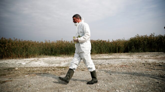 εθνικό-πάρκο-κορώνειας-βόλβης-πέταξα-563661571