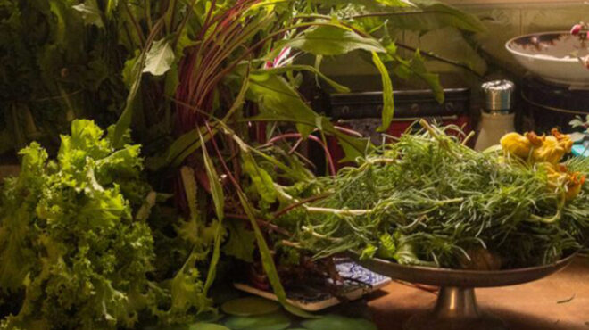 μάθημα-ελληνικών-από-την-κυρία-κατίνα-563668789