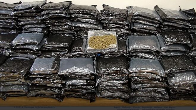 εντοπίστηκαν-185-κιλά-κάνναβης-στο-ελ-β-563654374