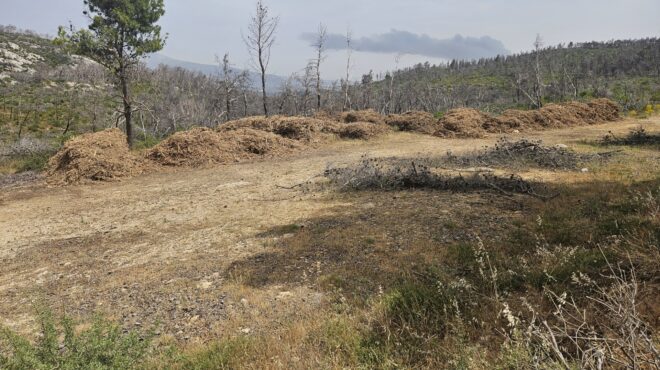 σχεδόν-702-000-δηλώσεις-για-τους-καθαρισμού-563665216