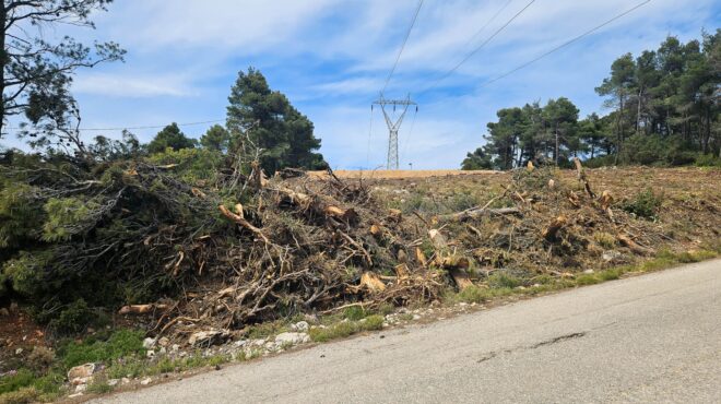 η-πομιδα-ζητά-παράταση-έως-τις-30-ιουνίο-563662078