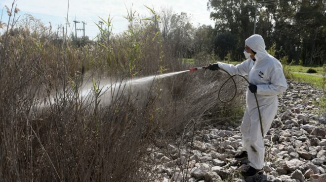 εοδυ-για-τον-ιό-του-δυτικού-νείλου-τα-563645311