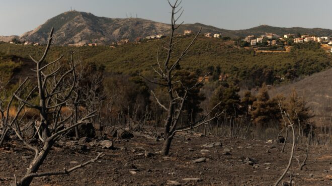 προειδοποίηση-λέκκα-εχει-χαθεί-το-70-το-563654290
