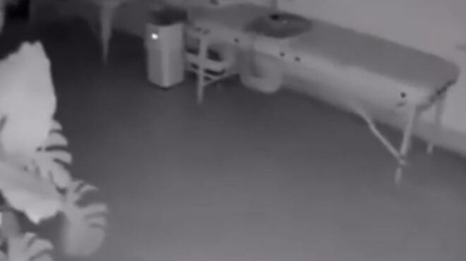 ρόδος-σεισμός-βίντεο-από-τη-στιγμή-που-563646415