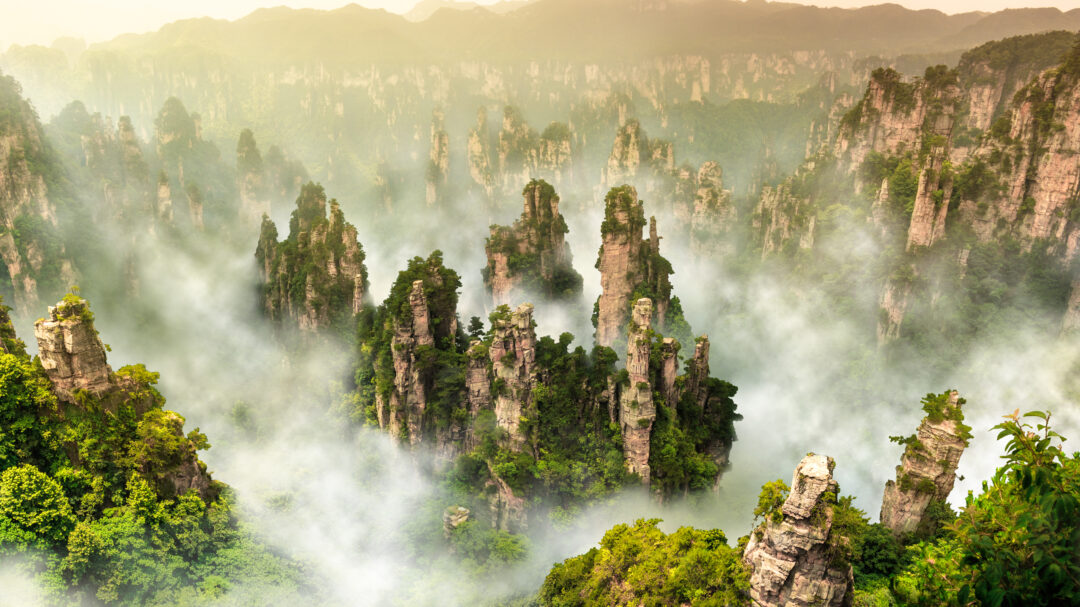 το-δάσος-που-έκρυβε-στα-σπλάχνα-του-μι-563668531