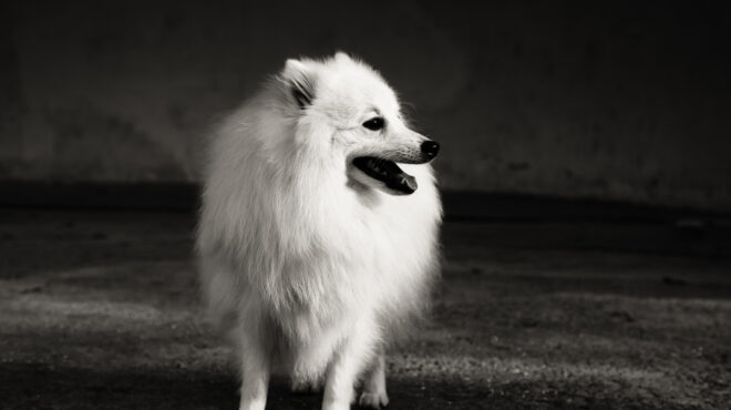 σαν-σήμερα-28-iουνίου-1859-η-πρώτη-έκθεση-σκ-563684035