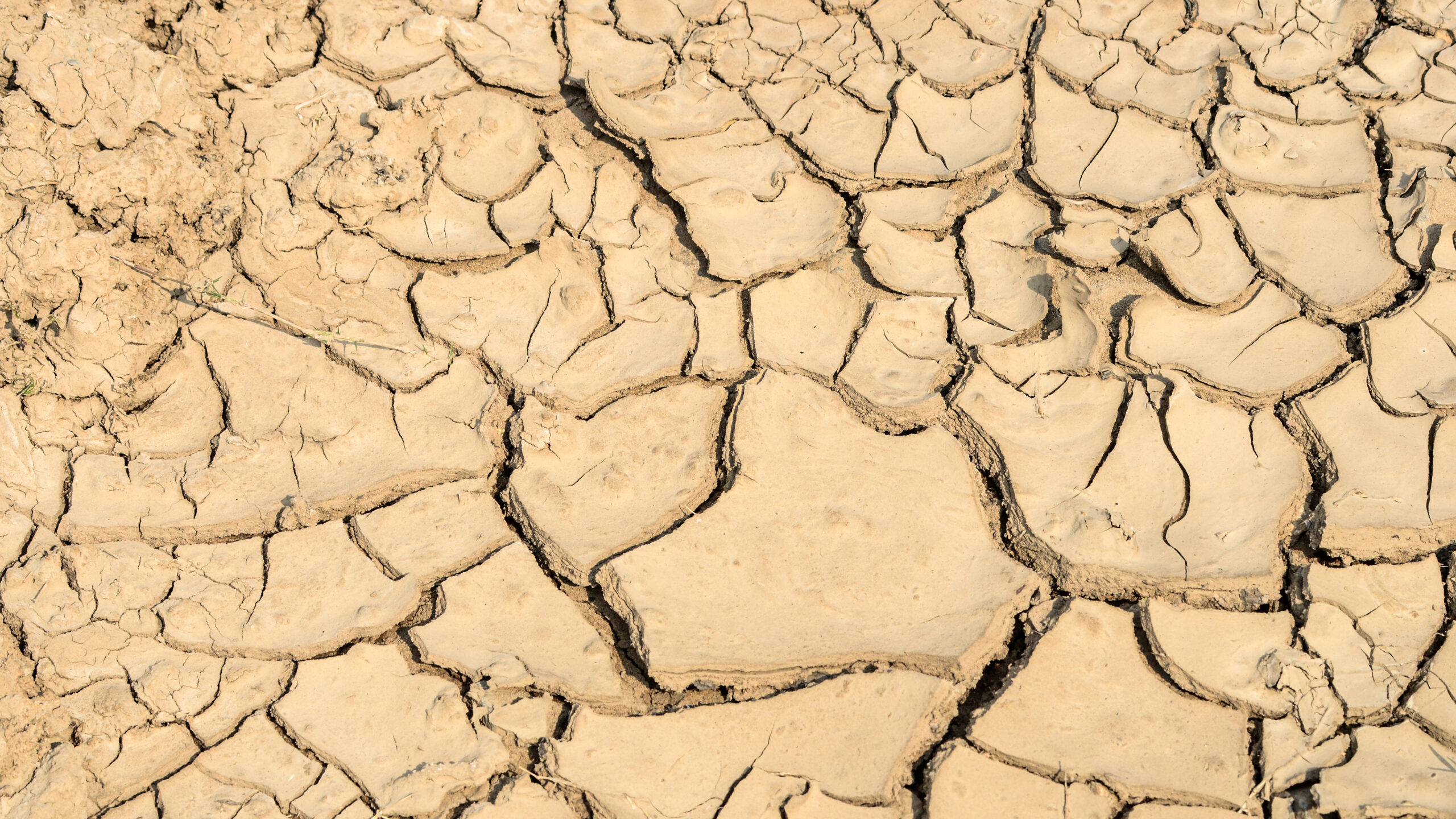 η-αόρατη-υποβάθμιση-των-ελληνικών-υ-563666899