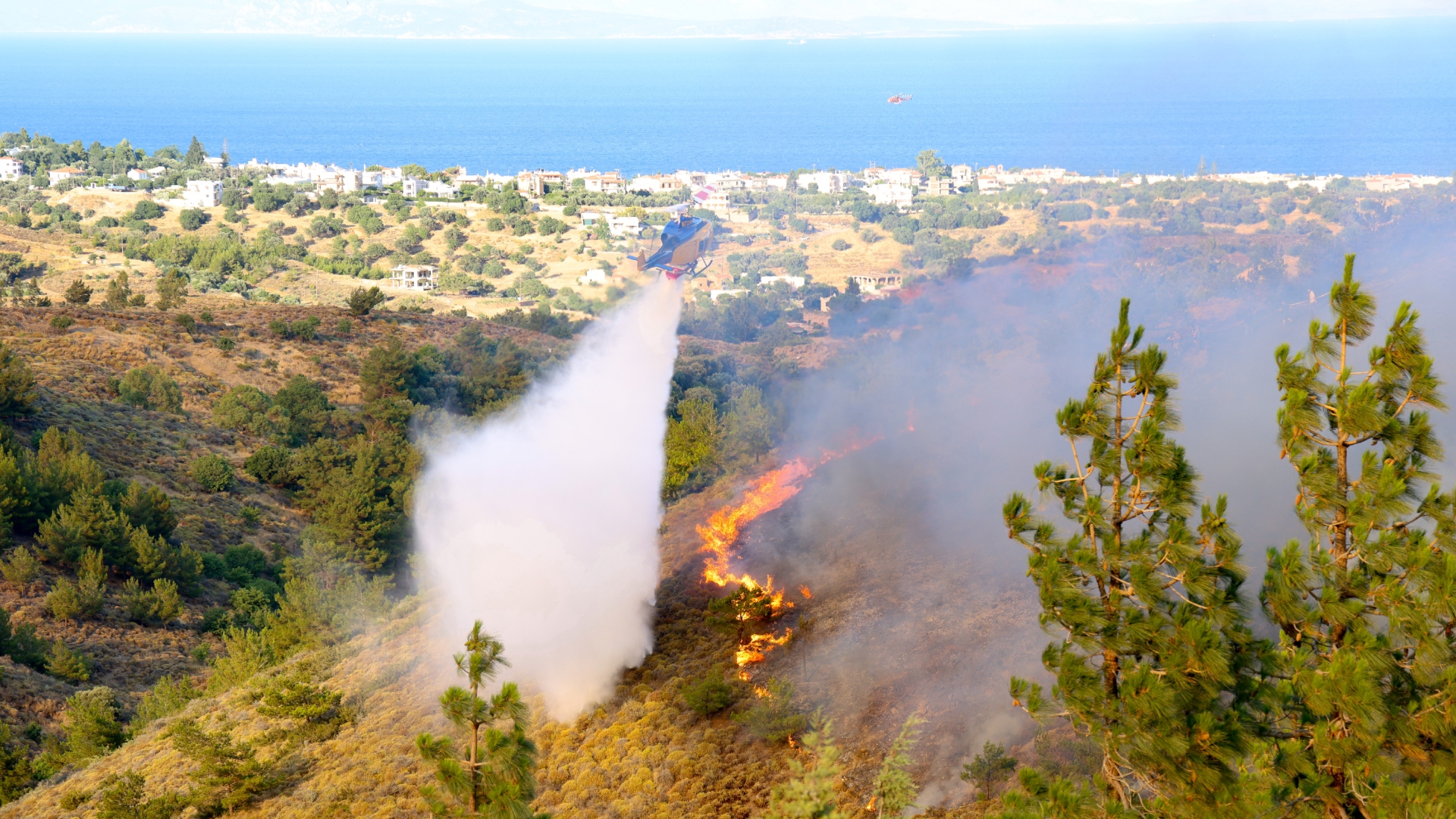 Μάχη με τις φλόγες στη Χίο: Ενισχύονται οι δυνάμεις – Υποψίες για εμπρησμό-3