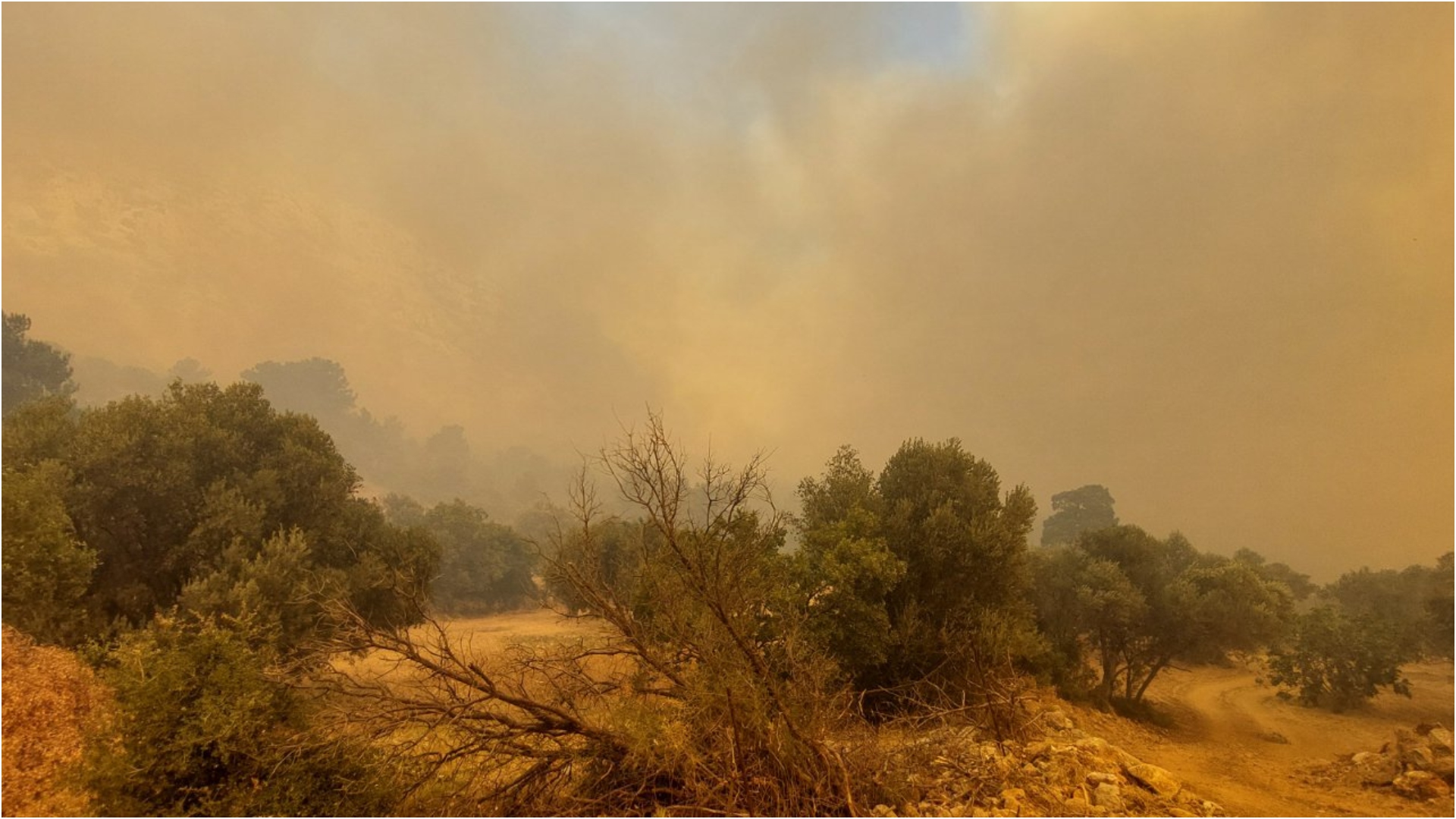Πυρκαγιές στη Χίο: Δεύτερη νύχτα αγωνίας με το βλέμμα στα Μαστιχοχώρια-2