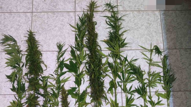 λασίθι-συνελήφθη-58χρονος-που-διατηρού-563709853