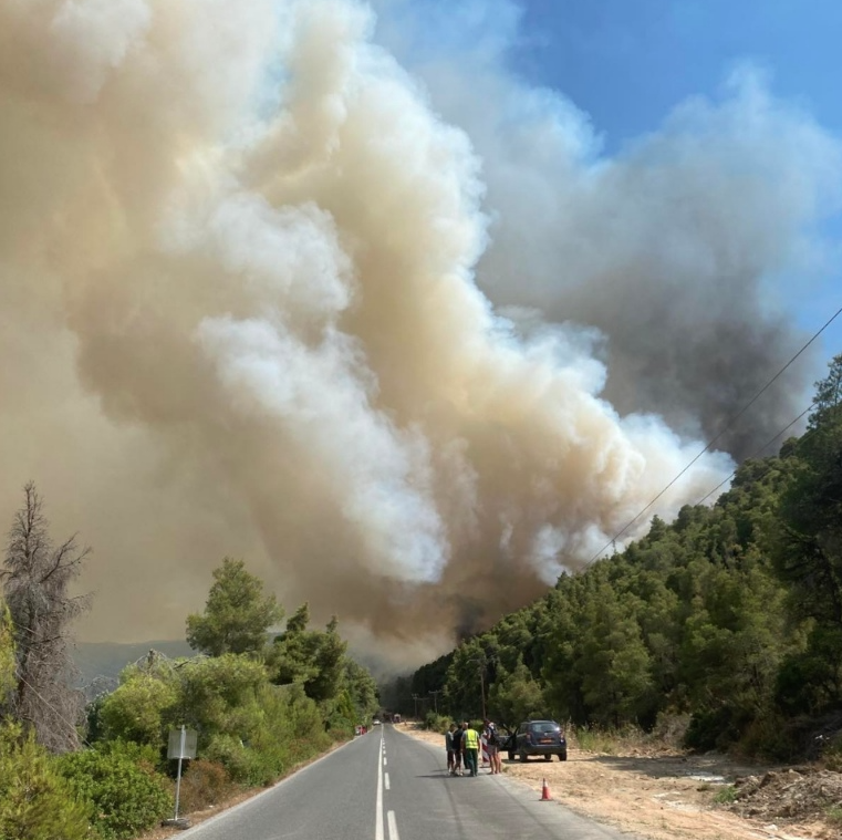 Φωτιά στη Χαλκιδική – Ηχησε το 112, ισχυρές δυνάμεις στο σημείο-1