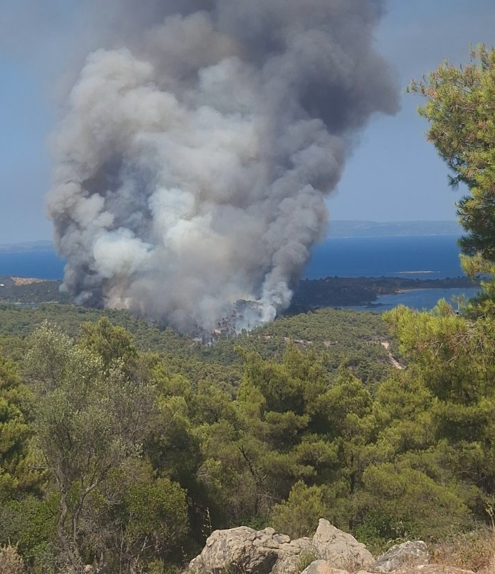 Ολονύχτια μάχη με τις φλόγες στο Λασίθι-4