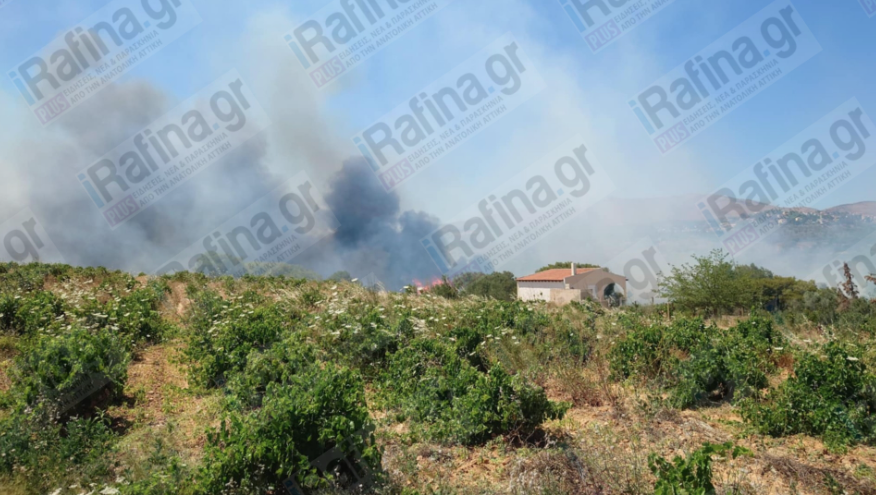 Ραφήνα: Φωτιά στη λεωφόρο Μαραθώνος – Ηχησε το 112 για εκκένωση-2