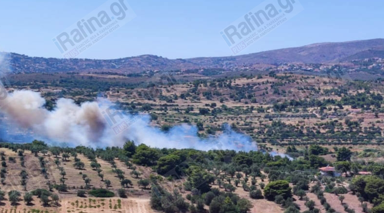 Ραφήνα: Φωτιά στη λεωφόρο Μαραθώνος – Ηχησε το 112 για εκκένωση-4