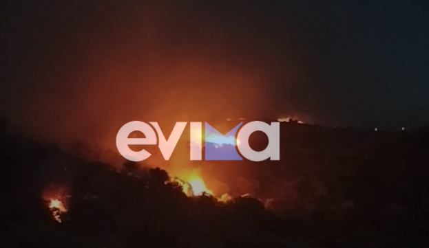 μεγάλη-φωτιά-στα-μεσοχώρια-της-εύβοια-563698732