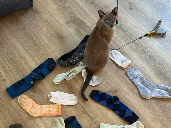 Η Ιαπωνία μεριμνά-3