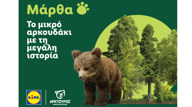 η-lidl-ελλάς-στήριξε-την-επιτυχή-επανέντα-563725321