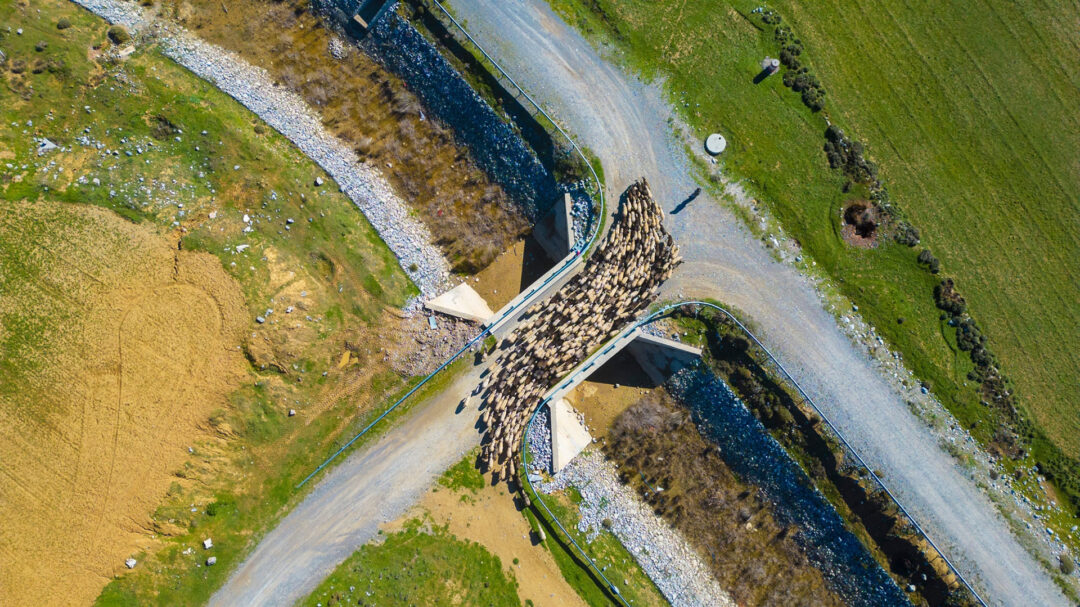 οπεκεπε-υπήρχαν-καταγγελίες-από-το-2020-563736655