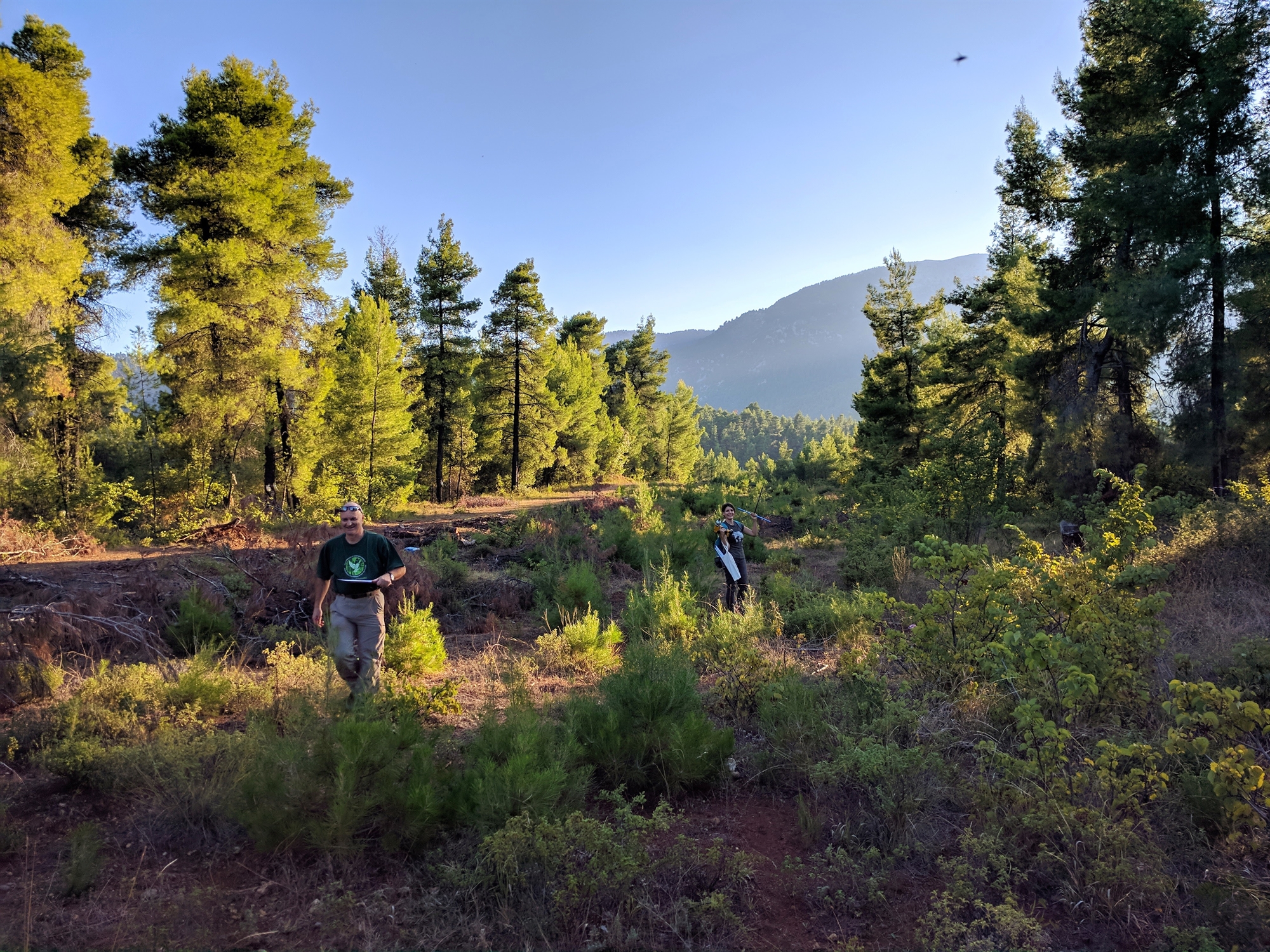 Τα δάση μας «εκπαιδεύονται»-3