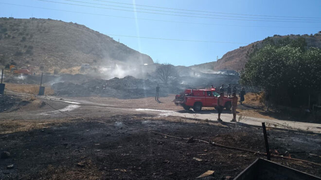 φωτιά-σε-χαμηλή-βλάστηση-στο-κερατσίν-563738725