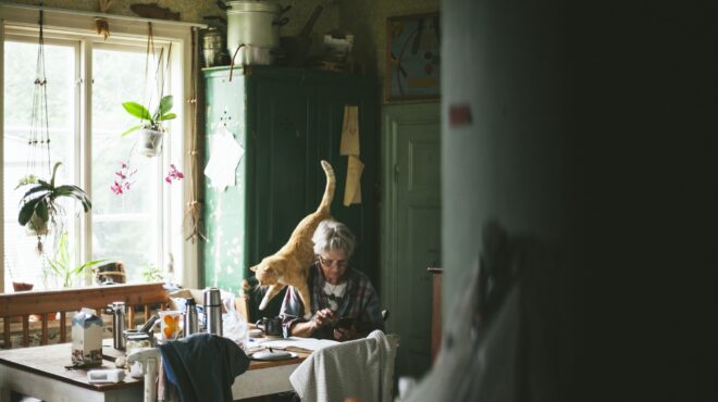 ζώα-συντροφιάς-η-έμψυχη-ασπίδα-κατά-τη-563723713