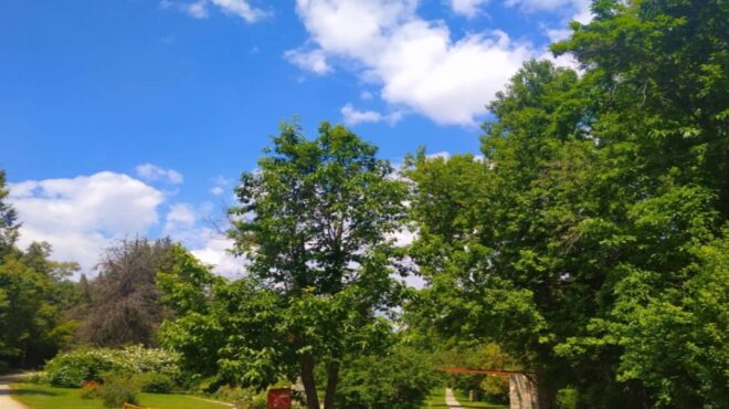 μια-ελληνική-όαση-ανάμεσα-στους-δέκα-κ-563744086