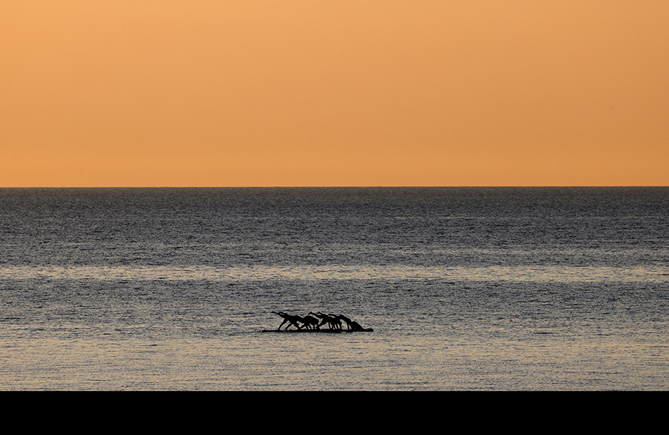 Ετοιμα για ψήσιμο-2