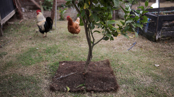 κουβερτάκια-από-ανθρώπινα-μαλλιά-563696785