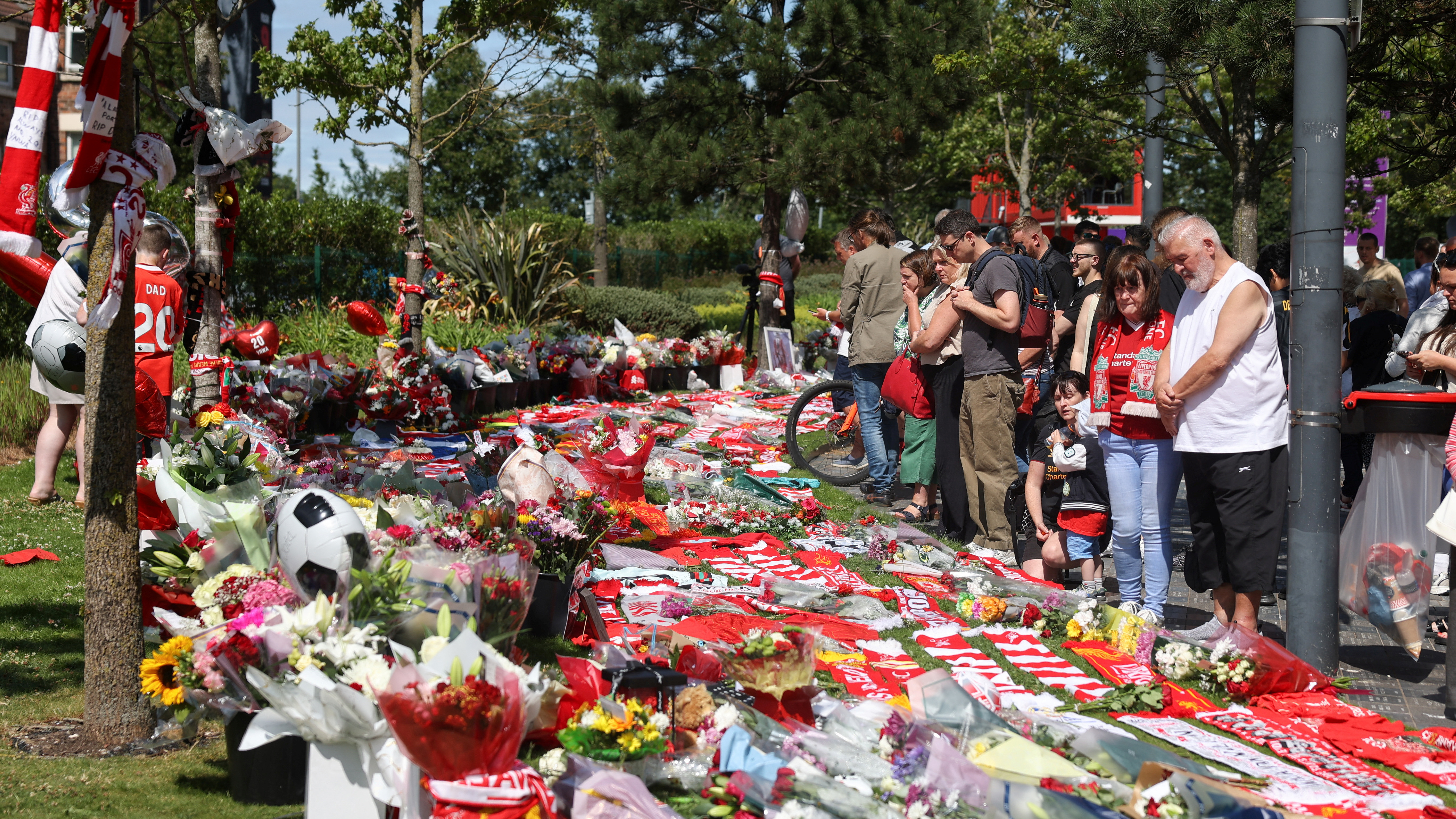 Οι μακάβριες ομοιότητες του Ντράζεν με τον Ζότα-2