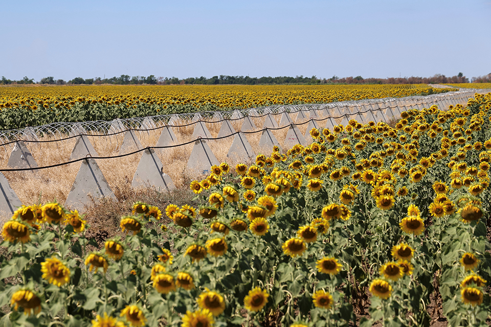 Σε μια στάλα νερό-2