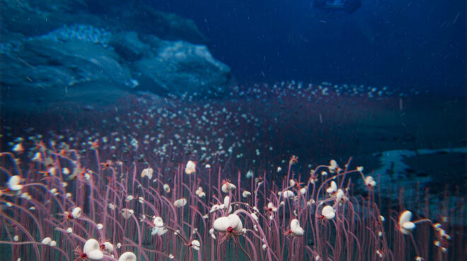 επιστήμονες-ανακάλυψαν-ένα-νέο-είδος-563743816