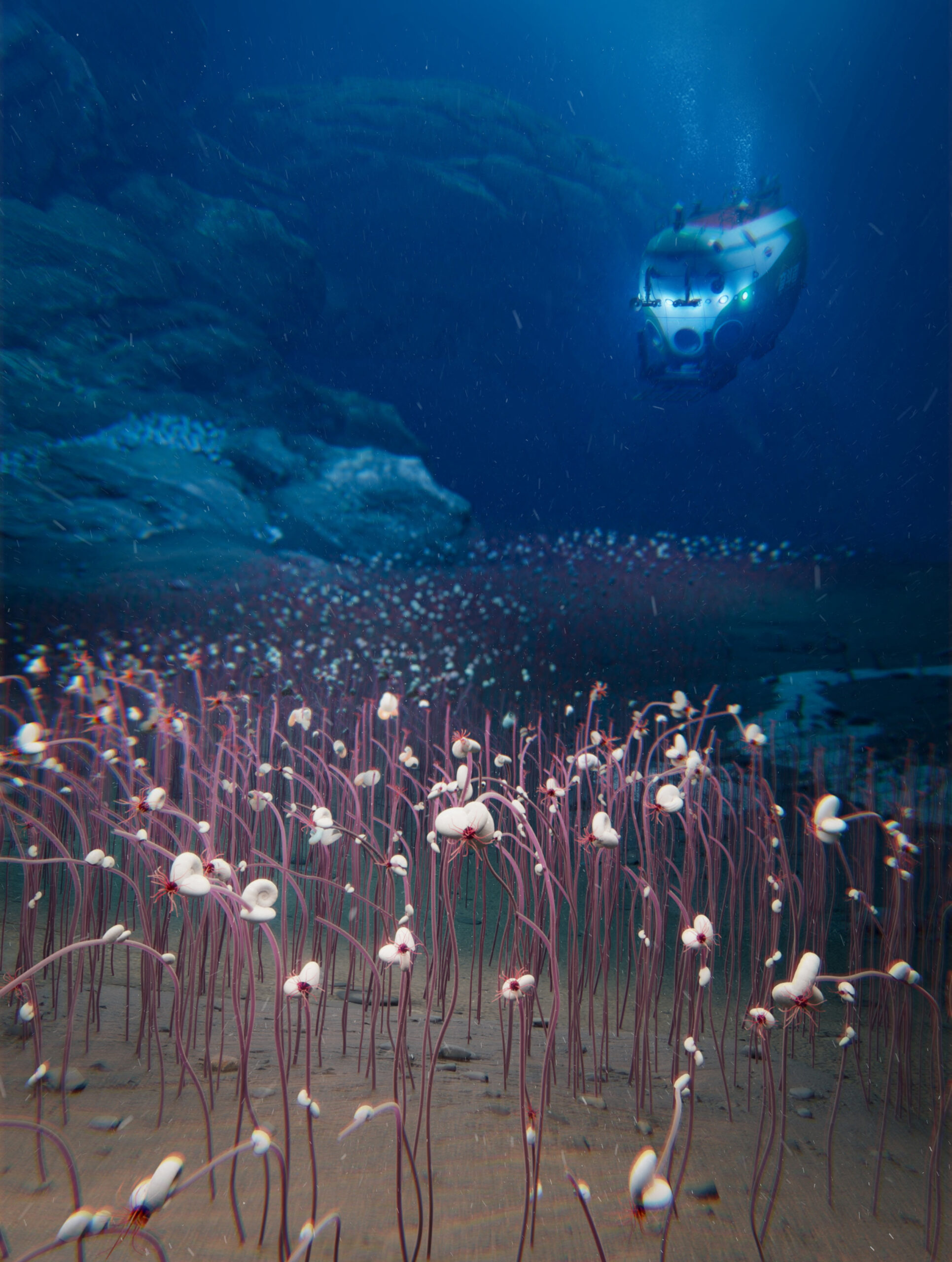 επιστήμονες-ανακάλυψαν-ένα-νέο-είδος-563743816