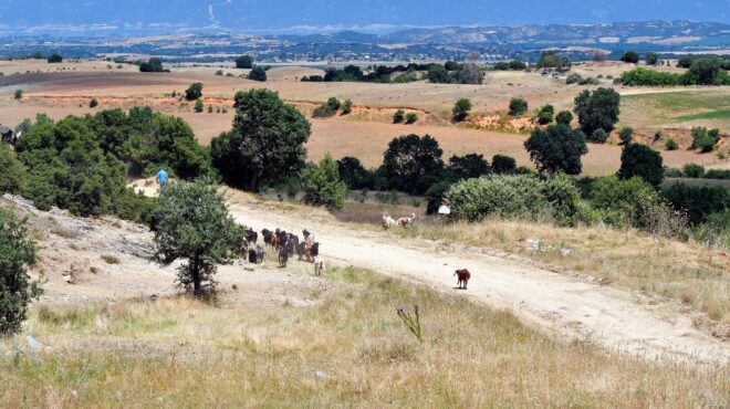 κολυμπώντας-στα-βαλτοτόπια-του-οπε-563722666