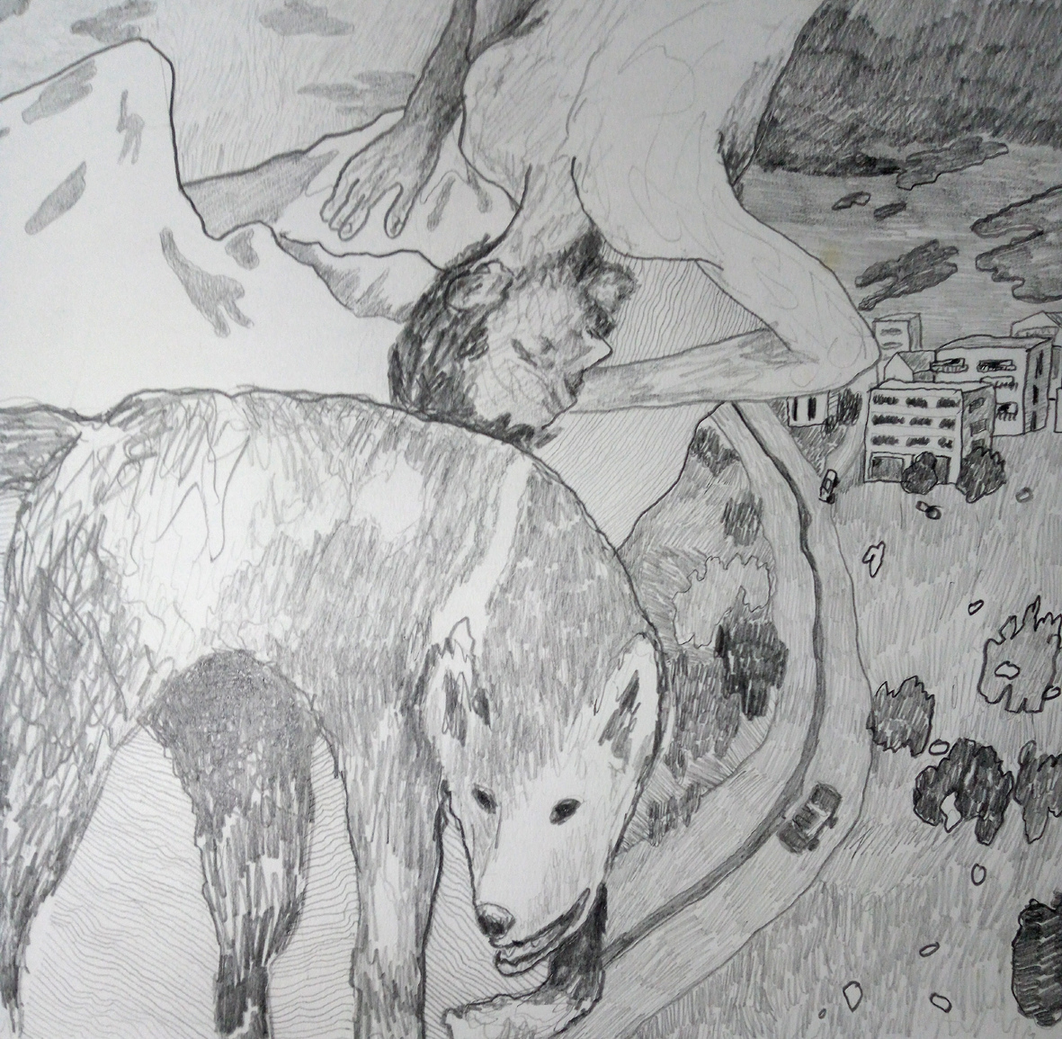 Kωνσταντίνος Βήτα: Εχω πτυχίο στην υπομονή-2